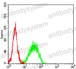 Anti-CD186/CXCR6 Antibody (R2T59)