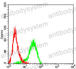 Anti-CD186/CXCR6 Antibody (R2T60)