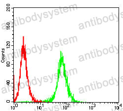 Anti-SH2B2 Antibody (R2T68)