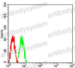 Anti-SOCS3 Antibody (R2T72)