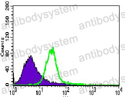 Anti-TRAFD1 Antibody (R2T73)
