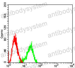 Anti-NDC80/HEC1 Antibody (R2T91)