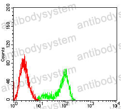 Anti-NDC80/HEC1 Antibody (R2T92)