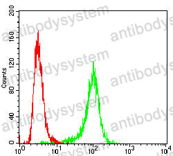 Anti-NDC80/HEC1 Antibody (R2T90)