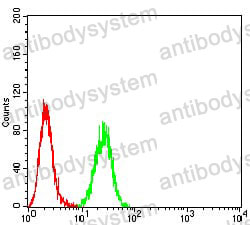 Anti-CD304/NRP1 Antibody (R2T93)