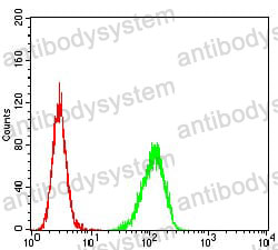 Anti-CD254/RANKL/TNFSF11 Antibody (R2T94)