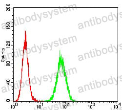 Anti-CD254/RANKL/TNFSF11 Antibody (R2T95)