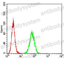 Anti-CD254/RANKL/TNFSF11 Antibody (R2T96)