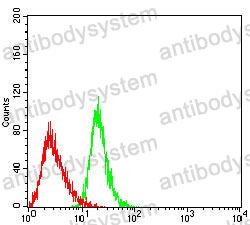 Anti-CD267/TNFRSF13B Antibody (R2U06)