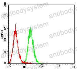 Anti-CD267/TNFRSF13B Antibody (R2U07)
