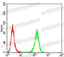 Anti-AIM2 Antibody (R2U08)