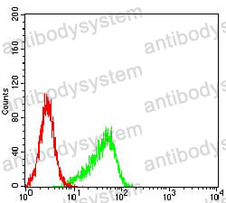 Anti-AURKA Antibody (R2U19)