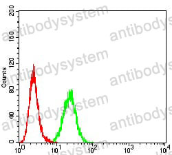 Anti-AXIN1 Antibody (R2U44)