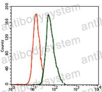 Anti-TBXT Antibody (R2U45)