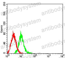 Anti-GRM6 Antibody (R2U53)