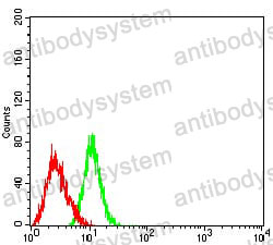Anti-CD170/SIGLEC5 Antibody (R2U57)