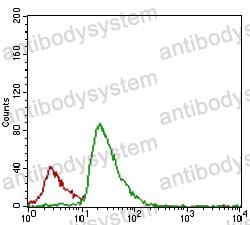 Anti-FLIP/CFLAR Antibody (R2U72)