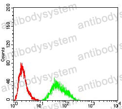 Anti-KDM6A Antibody (R2U76)