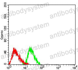 Anti-RBFOX2 Antibody (R2U81)