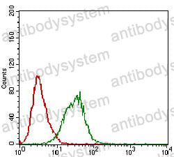 Anti-DAPK3 Antibody (R2U83)