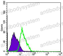 Anti-MSI1 Antibody (R2U85)