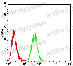 Anti-HTRA2 Antibody (R2U86)