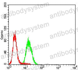 Anti-CD133/PROM1 Antibody (R2U90)