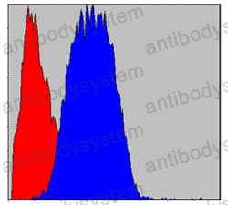 Anti-CD133/PROM1 Antibody (R2U89)