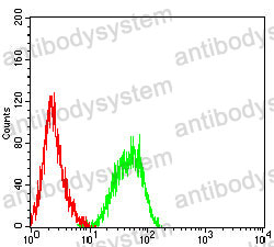 Anti-CD258/TNFSF14/LIGHT Antibody (R2U94)
