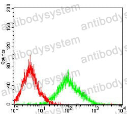 Anti-SNAI2 Antibody (R2U97)