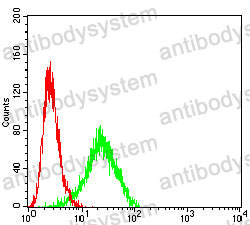 Anti-PSCA Antibody (R2U99)