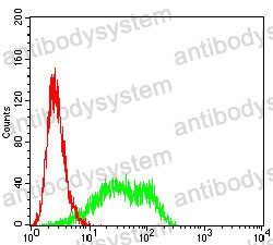 Anti-PSCA Antibody (R2U98)