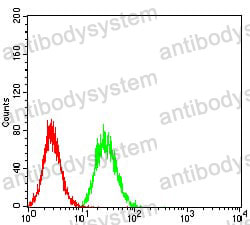 Anti-BUB1 Antibody (R2V01)