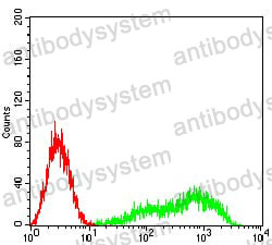 Anti-CD327/SIGLEC6 Antibody (R2V02)