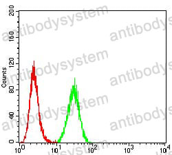 Anti-PRKAB2 Antibody (R2V04)