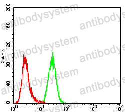 Anti-TLL1 Antibody (R2V10)