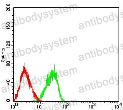 Anti-TLL1 Antibody (R2V09)