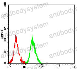 Anti-PRKN Antibody (R2V15)