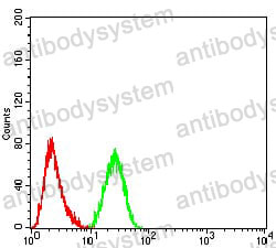 Anti-KDM1A Antibody (R2V18)