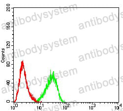 Anti-KDM1A Antibody (R2V19)