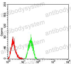 Anti-KDM1A Antibody (R2V20)