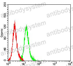 Anti-KDM1A Antibody (R2V21)