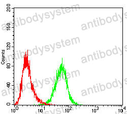 Anti-CD205/LY75/DEC-205 Antibody (R2V27)
