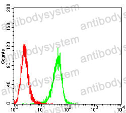 Anti-PLIN3 Antibody (R2V33)