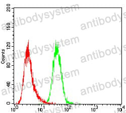 Anti-JAK2 Antibody (R2V35)