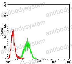 Anti-MITF Antibody (R2V49)