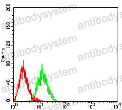 Anti-LRP3 Antibody (R2V51)
