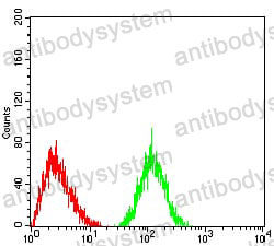 Anti-LRP4 Antibody (R2V52)
