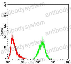 Anti-ATG13 Antibody (R2V54)