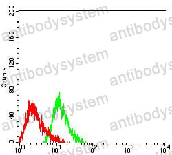 Anti-CD275/ICOSLG Antibody (R2V55)